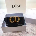 AAA Quality Dior Black Leather Belt All Gold Buckle